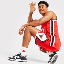 NBA Chicago Bulls Swingman Shorts Image 1 - LUZACTIVE - AUSTRALIA