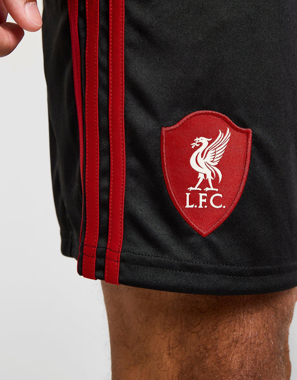 adidas Liverpool FC 2025/26 Away Shorts image