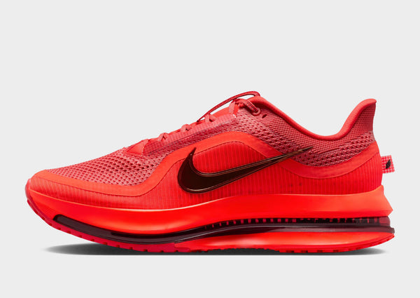 Nike Pegasus Premium