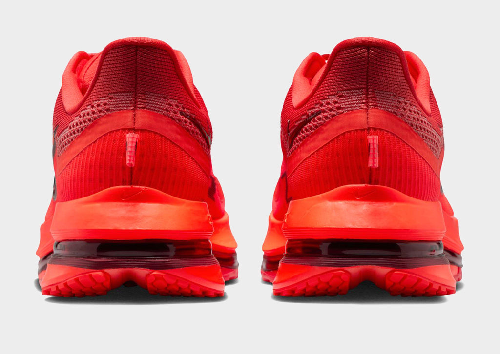 Nike Pegasus Premium image