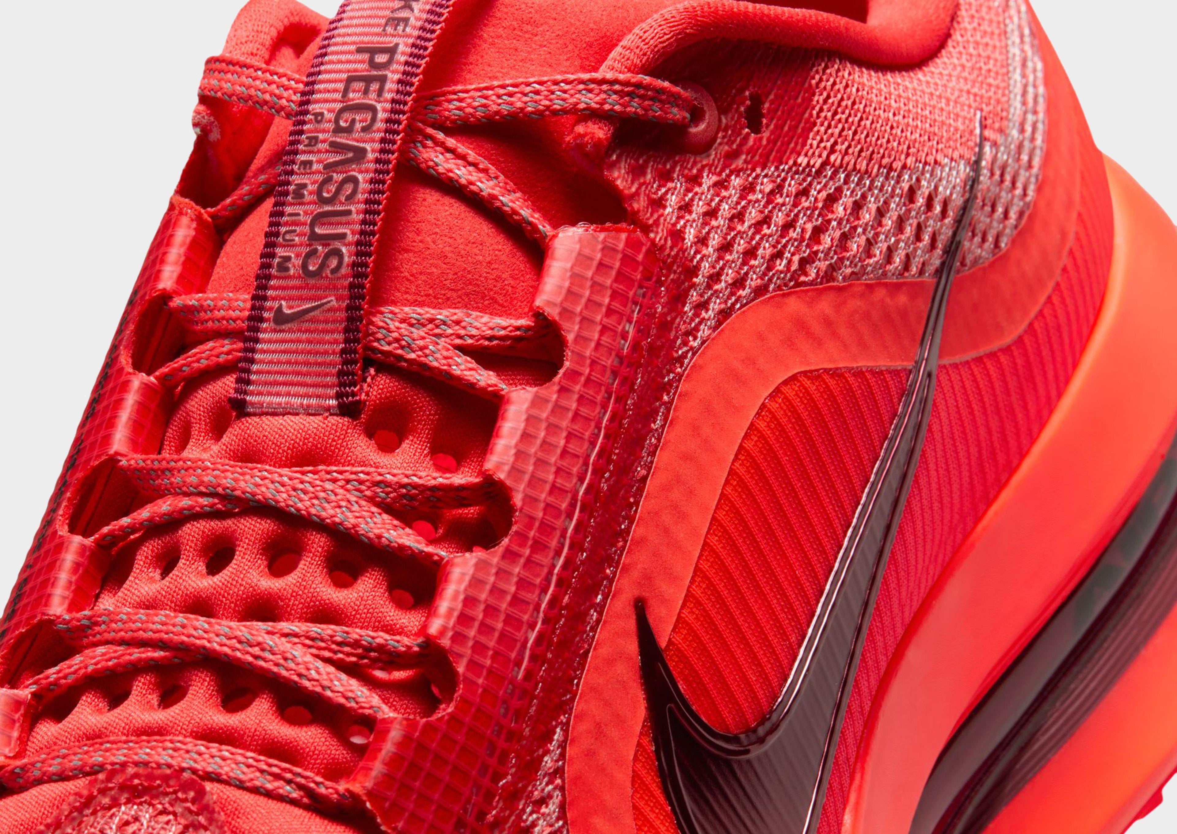 Nike Pegasus Premium image