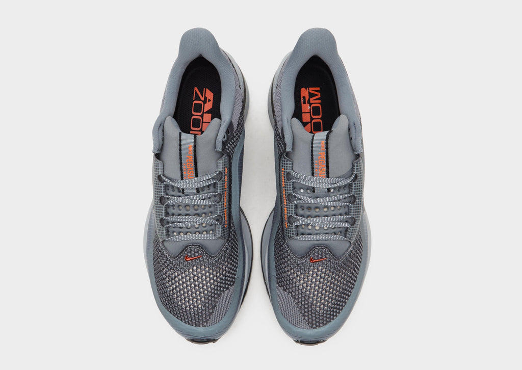 Nike Pegasus Premium image