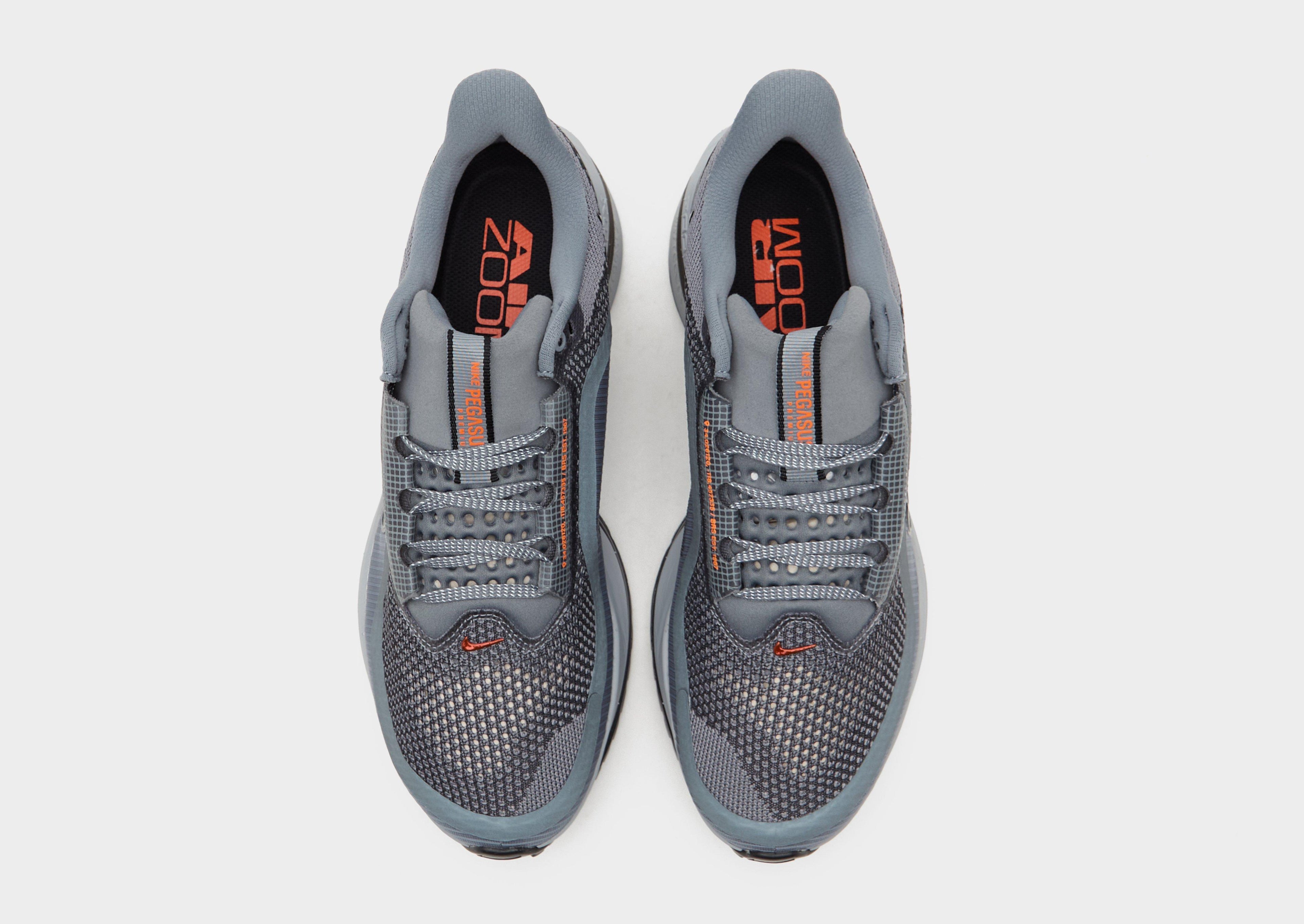 Nike Pegasus Premium image