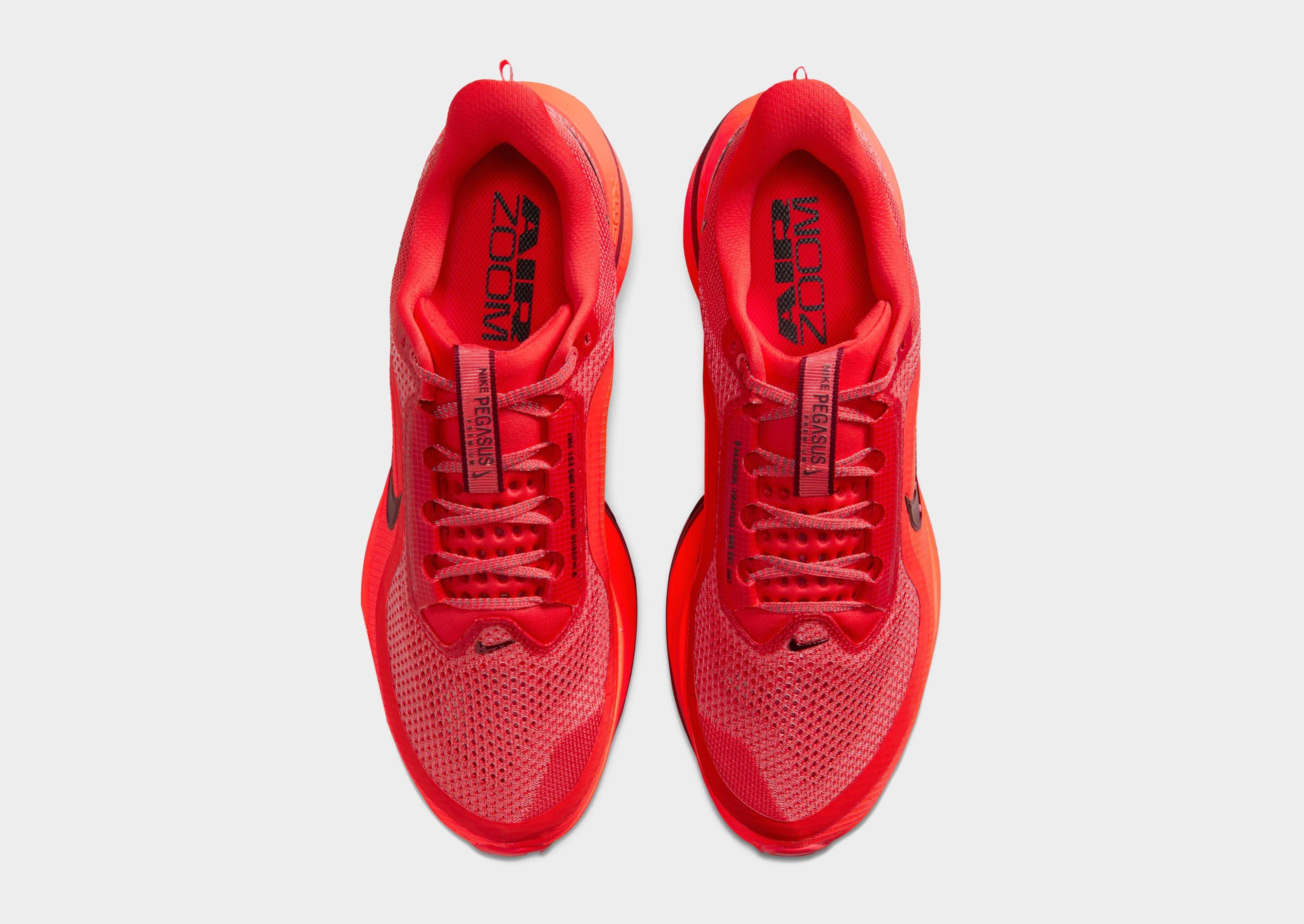 Nike Pegasus Premium image