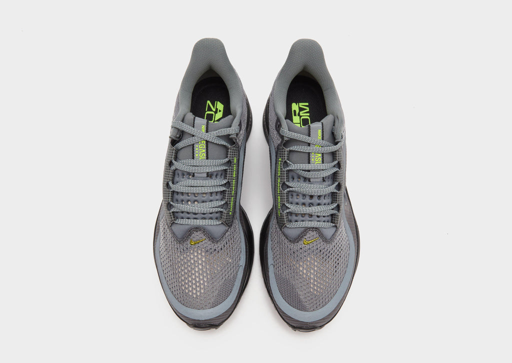Nike Pegasus Premium image