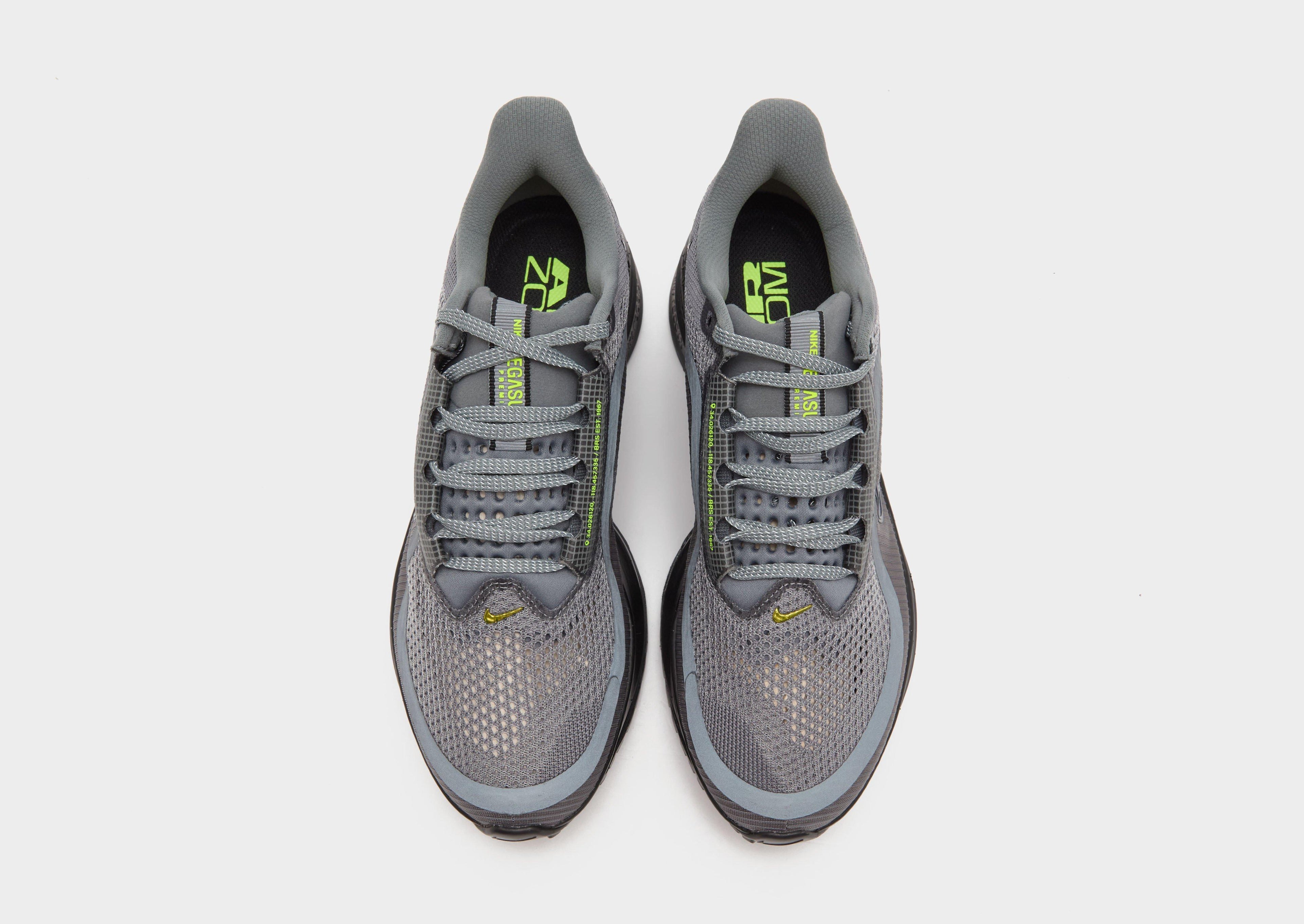 Nike Pegasus Premium image