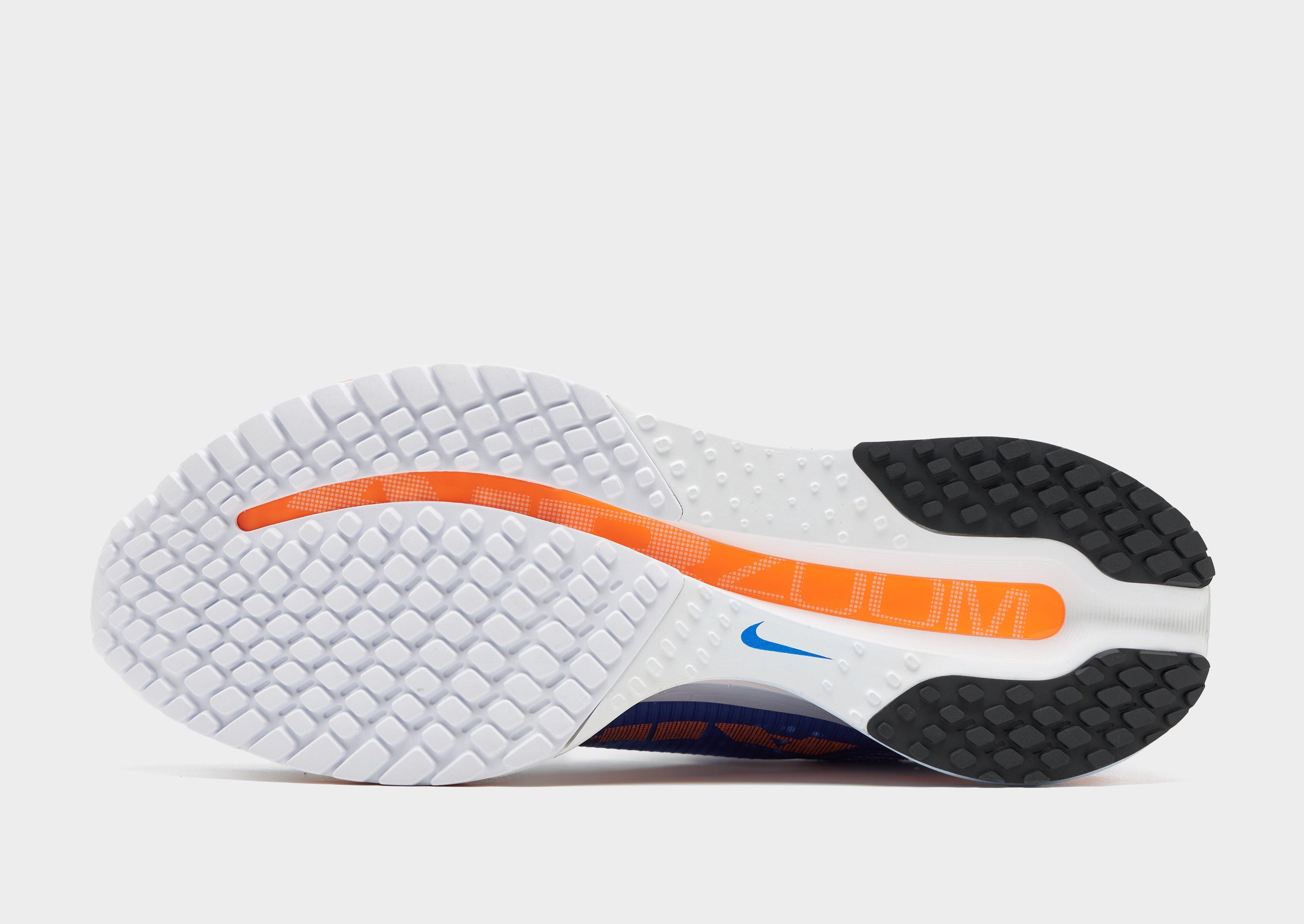 Nike Pegasus Premium image