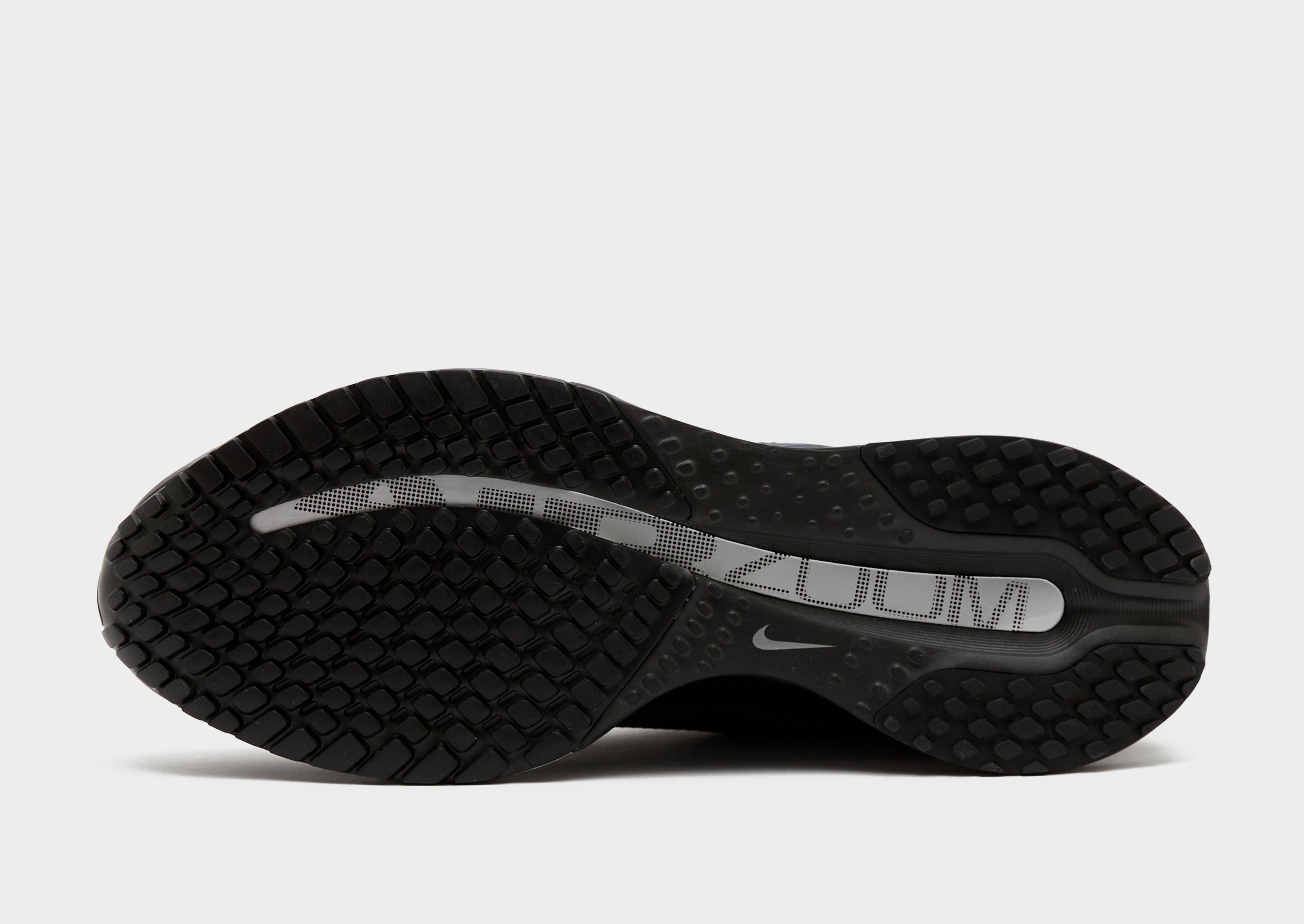 Nike Pegasus Premium image