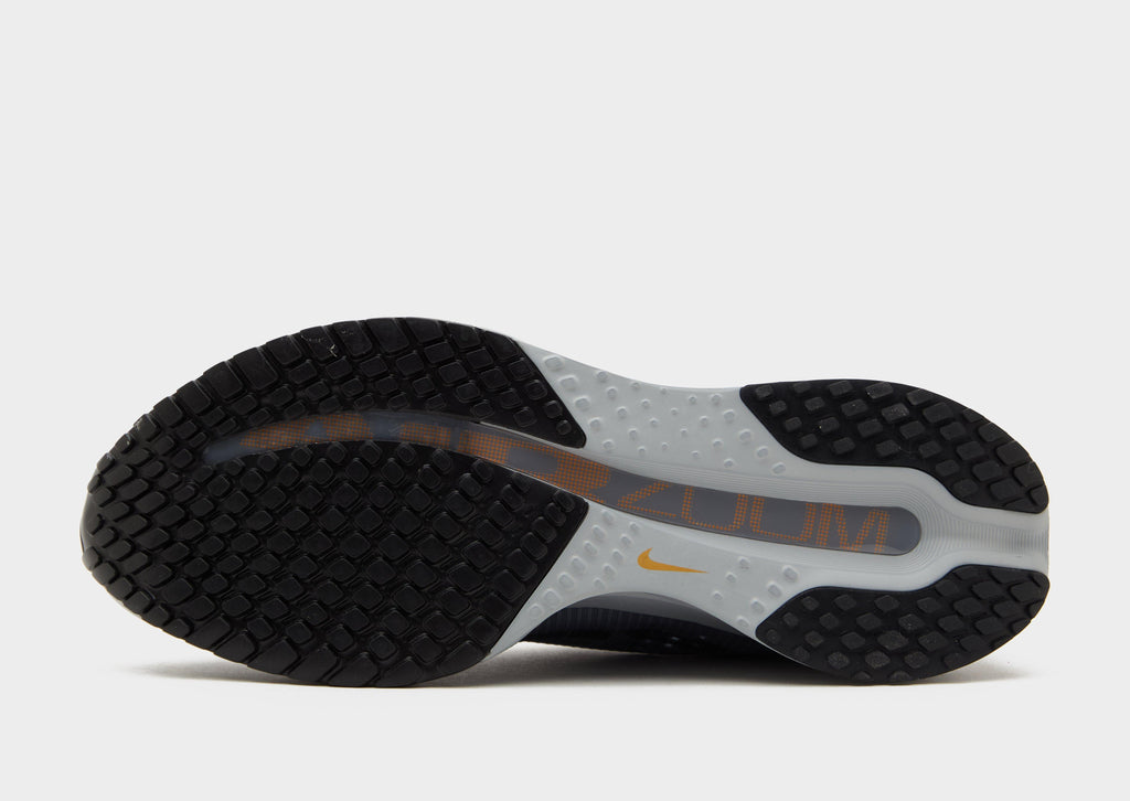 Nike Pegasus Premium image