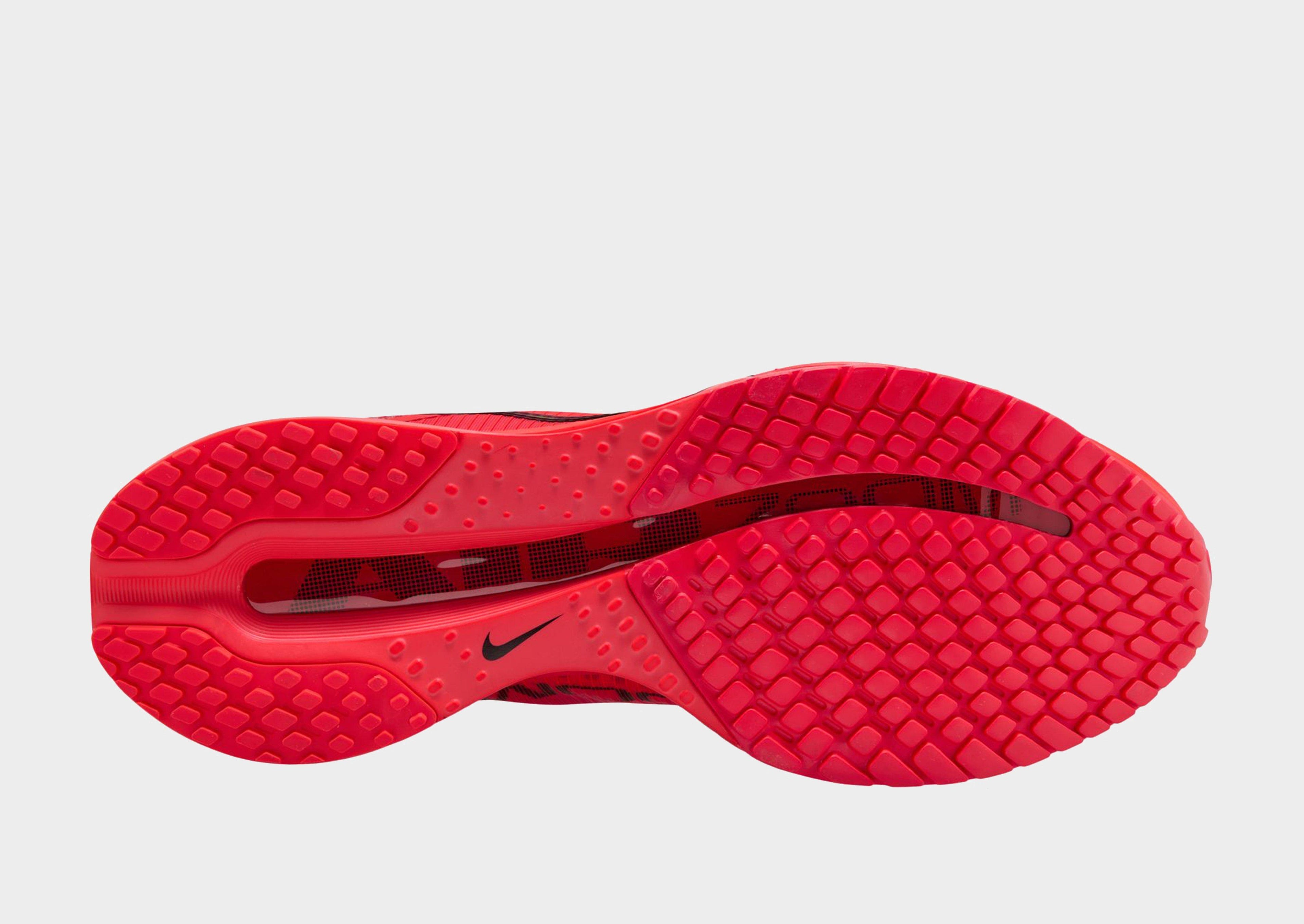 Nike Pegasus Premium image