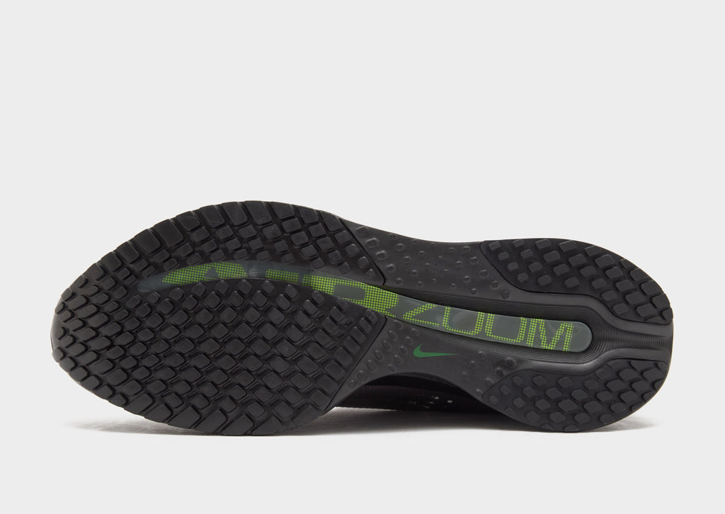 Nike Pegasus Premium image
