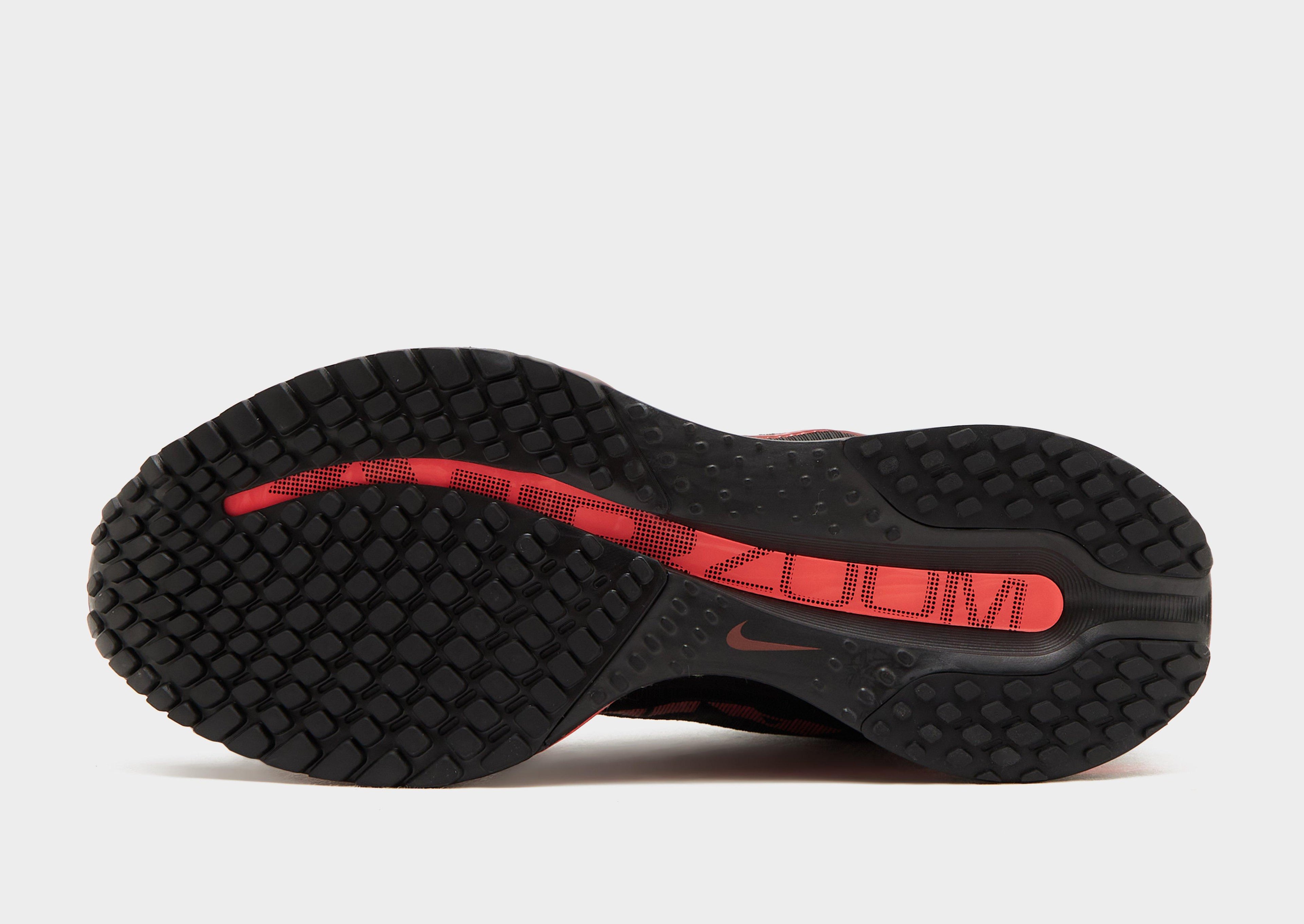 Nike Pegasus Premium SE Women's image