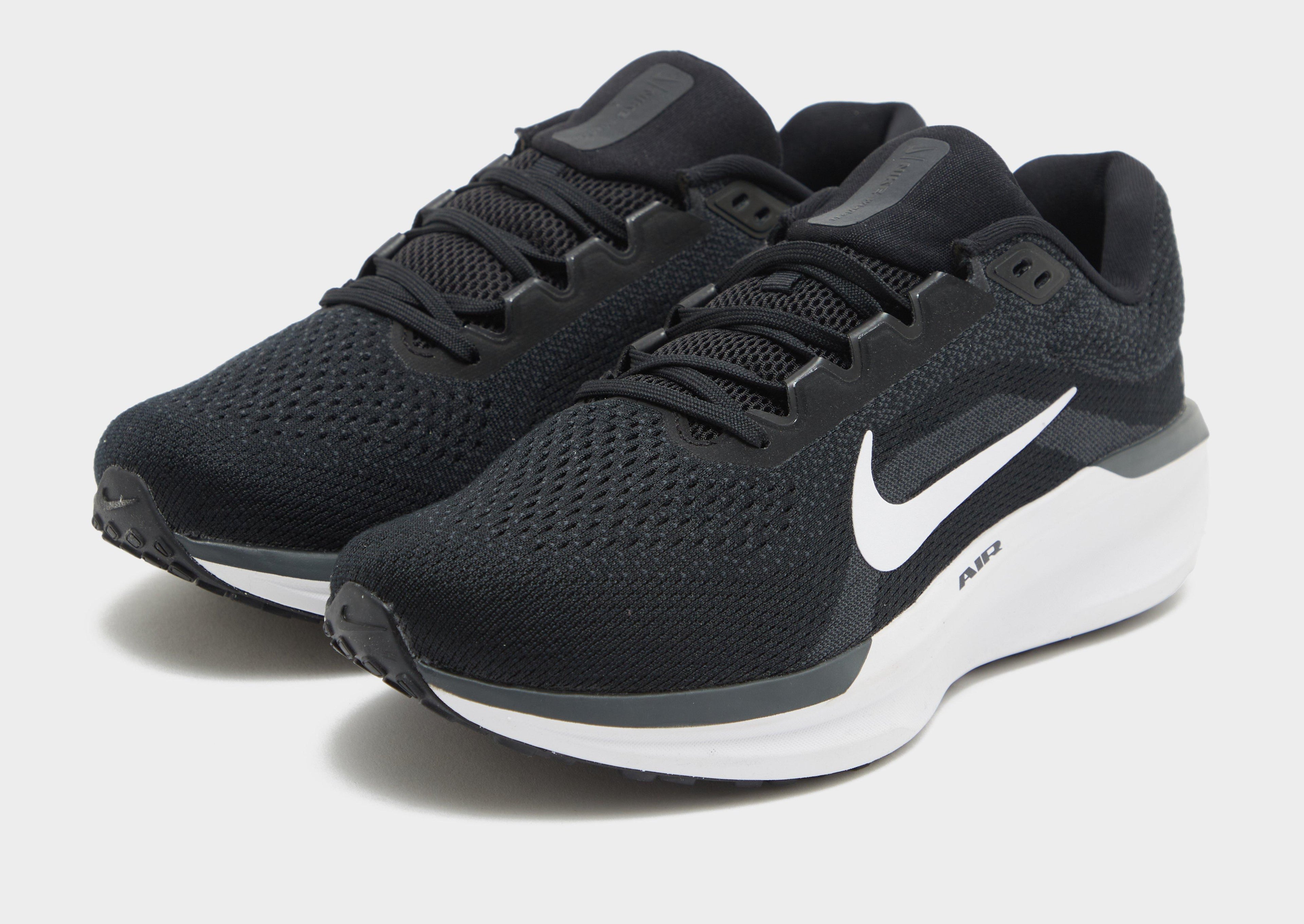 Nike Winflo 11 image