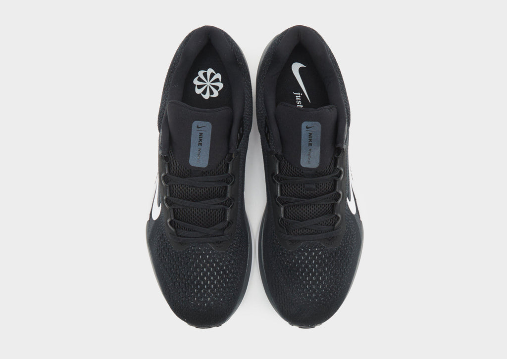Nike Winflo 11 image