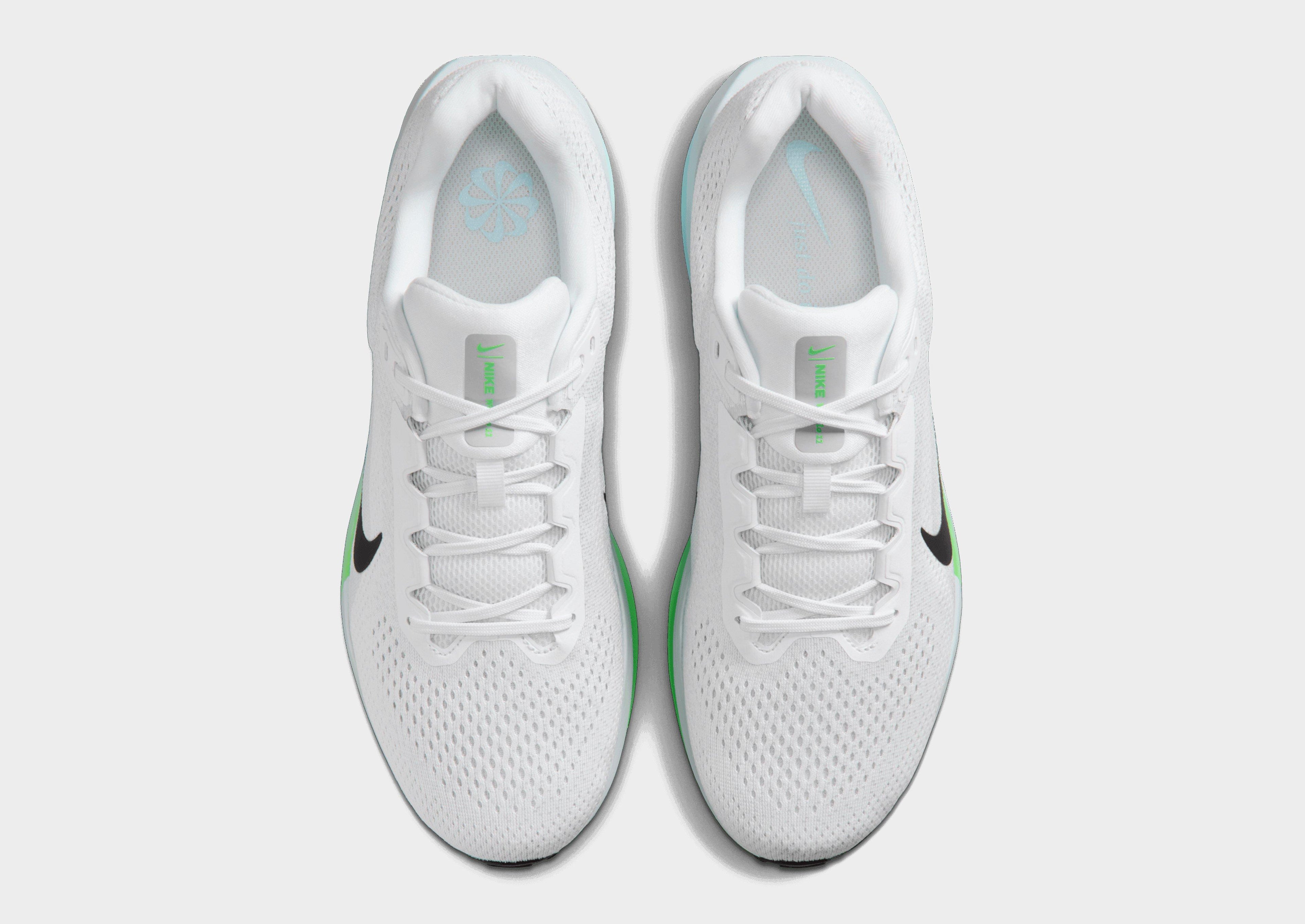 Nike Winflo 11 image