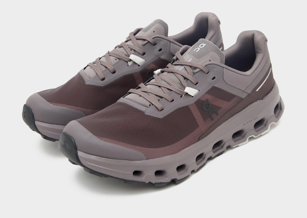 On Running Cloudvista 2 image