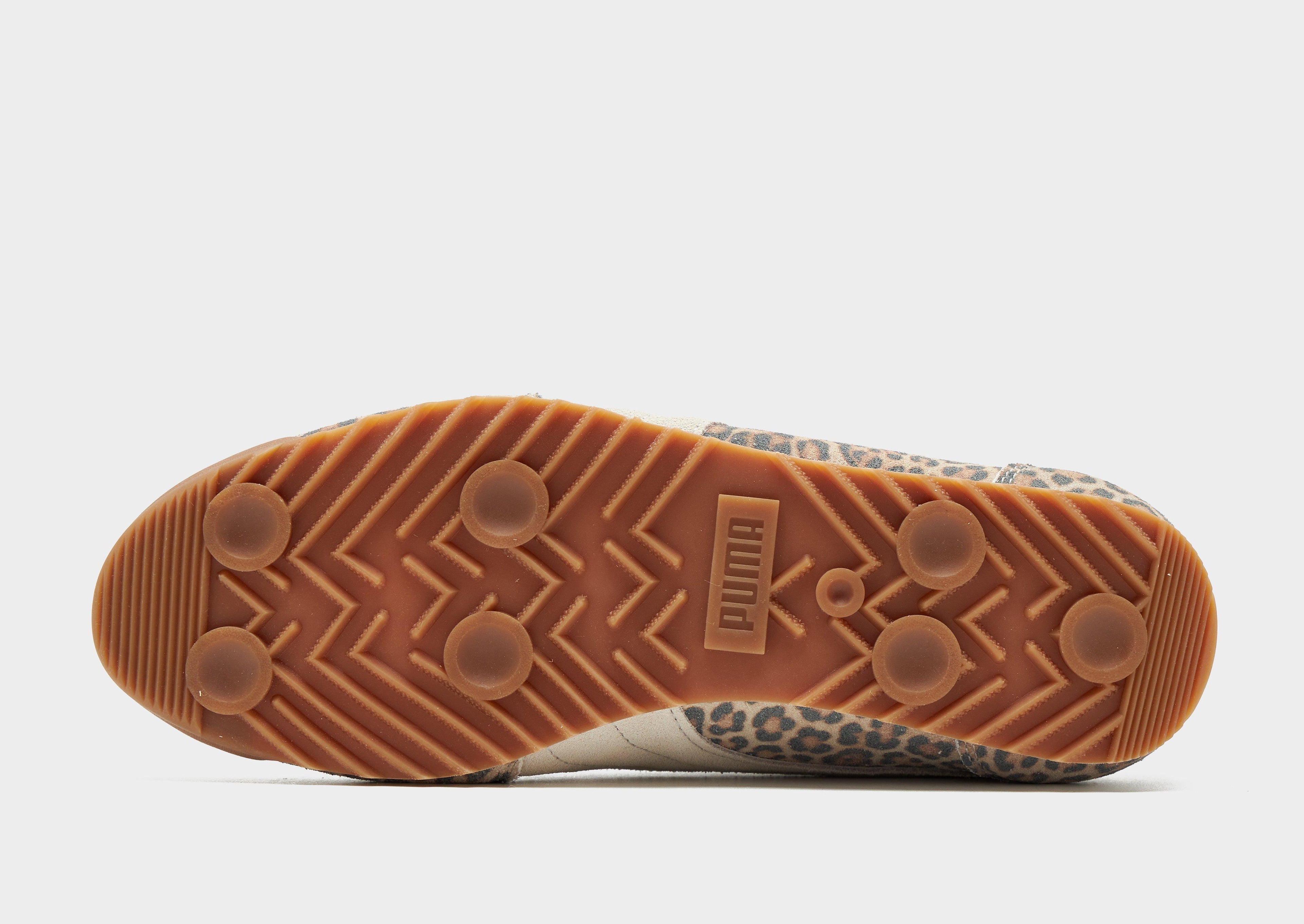 PUMA Arizona Women's image