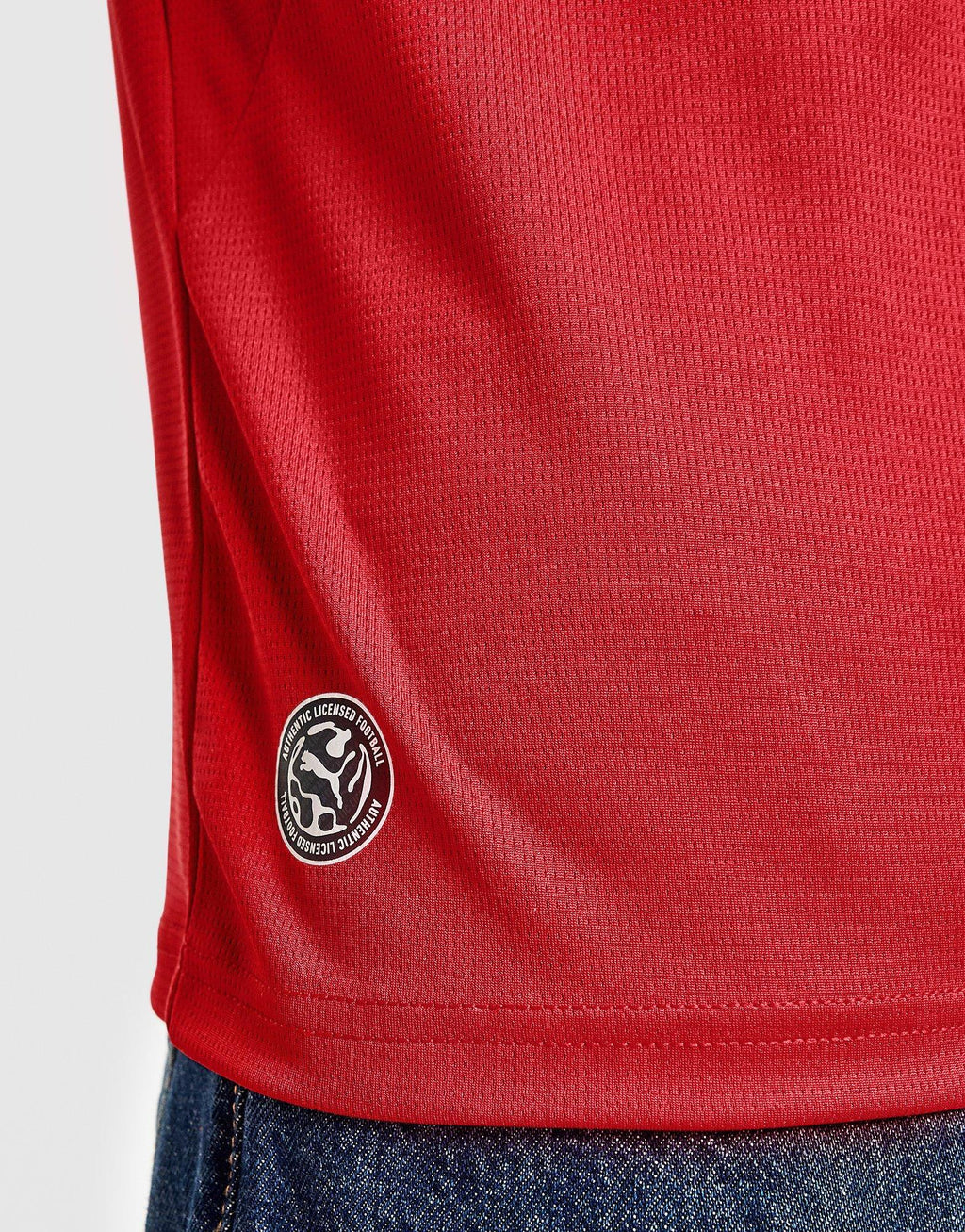 PUMA Czechia 2026 Home Shirt image