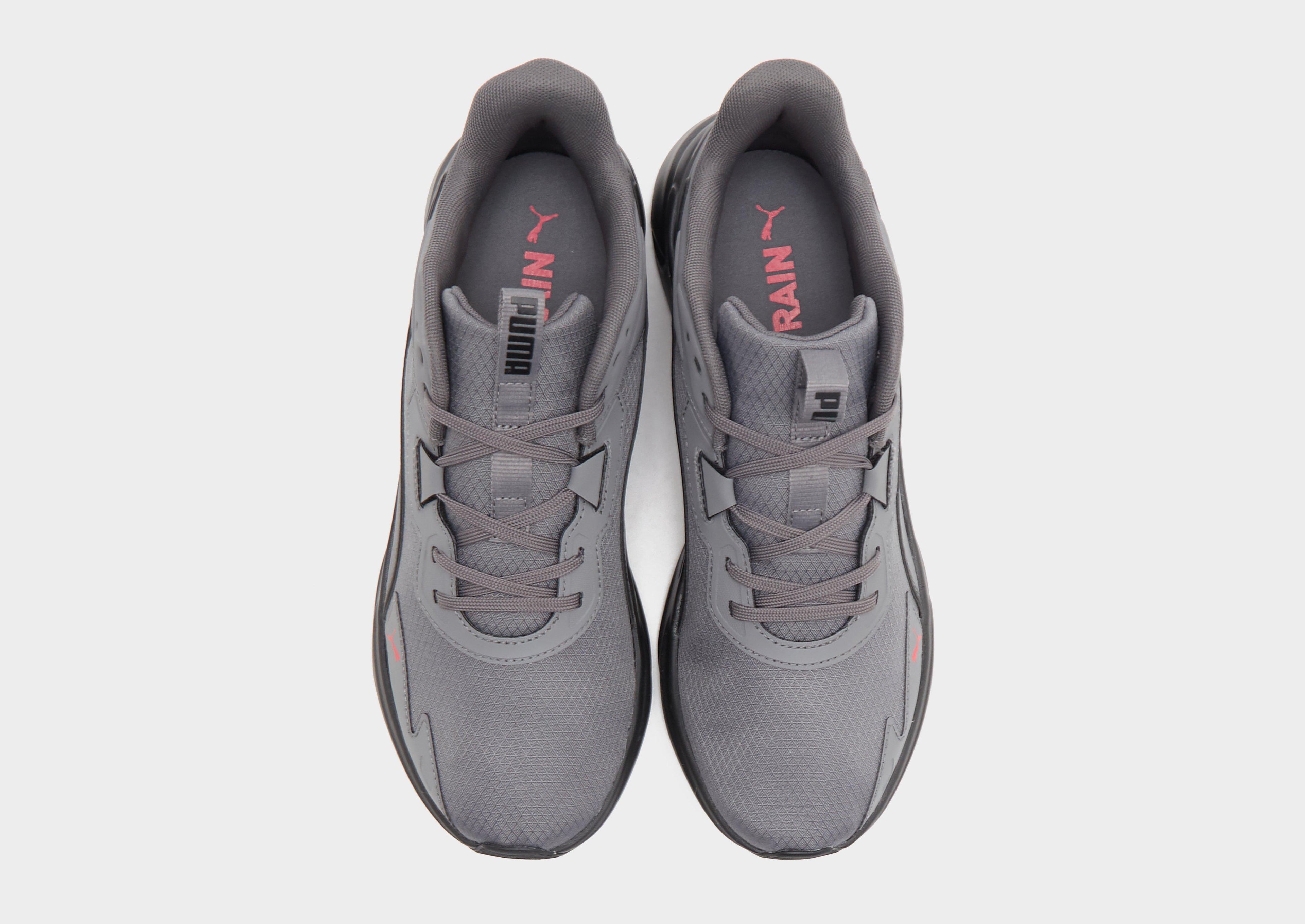 PUMA Disperse image