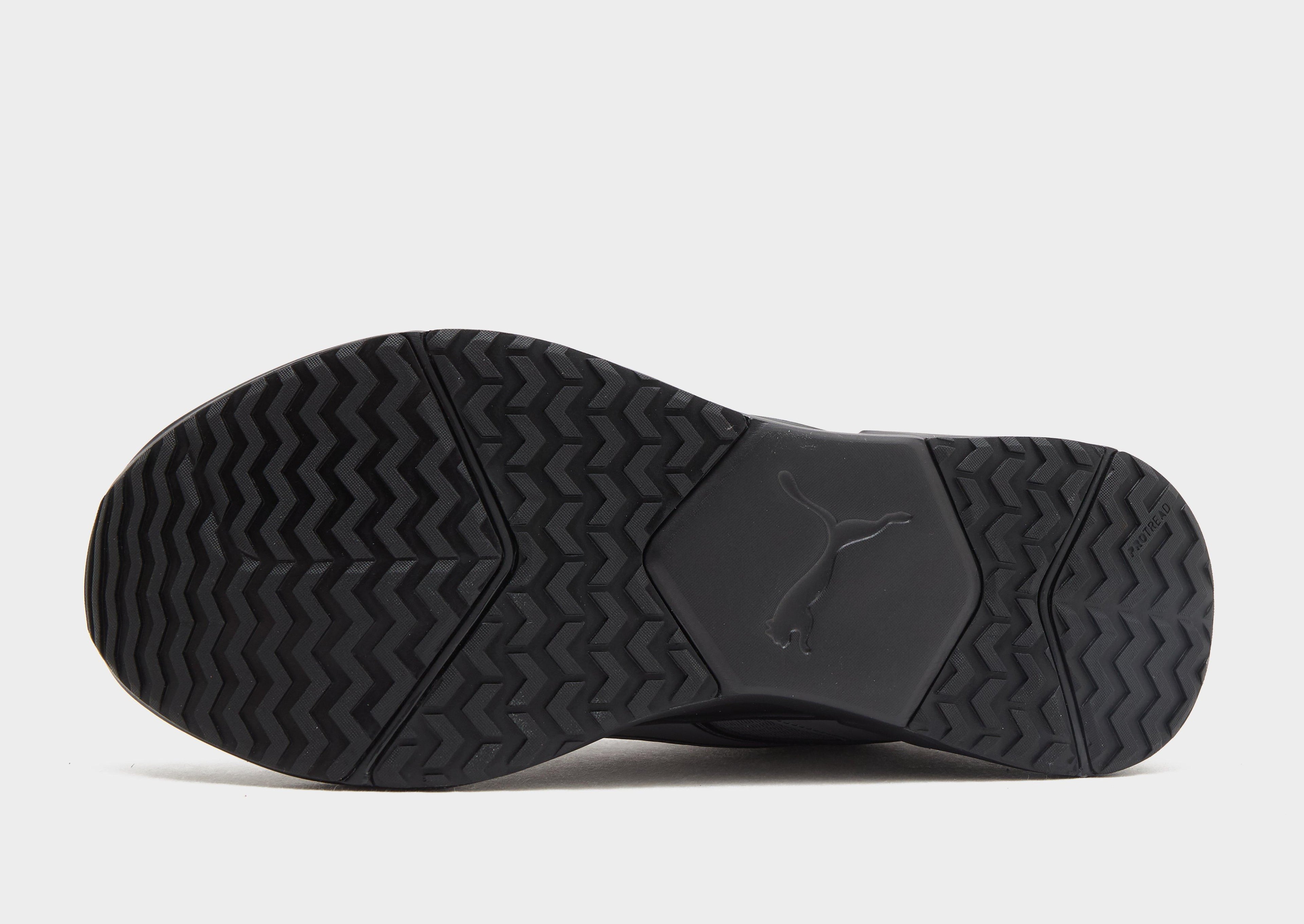 PUMA Disperse image