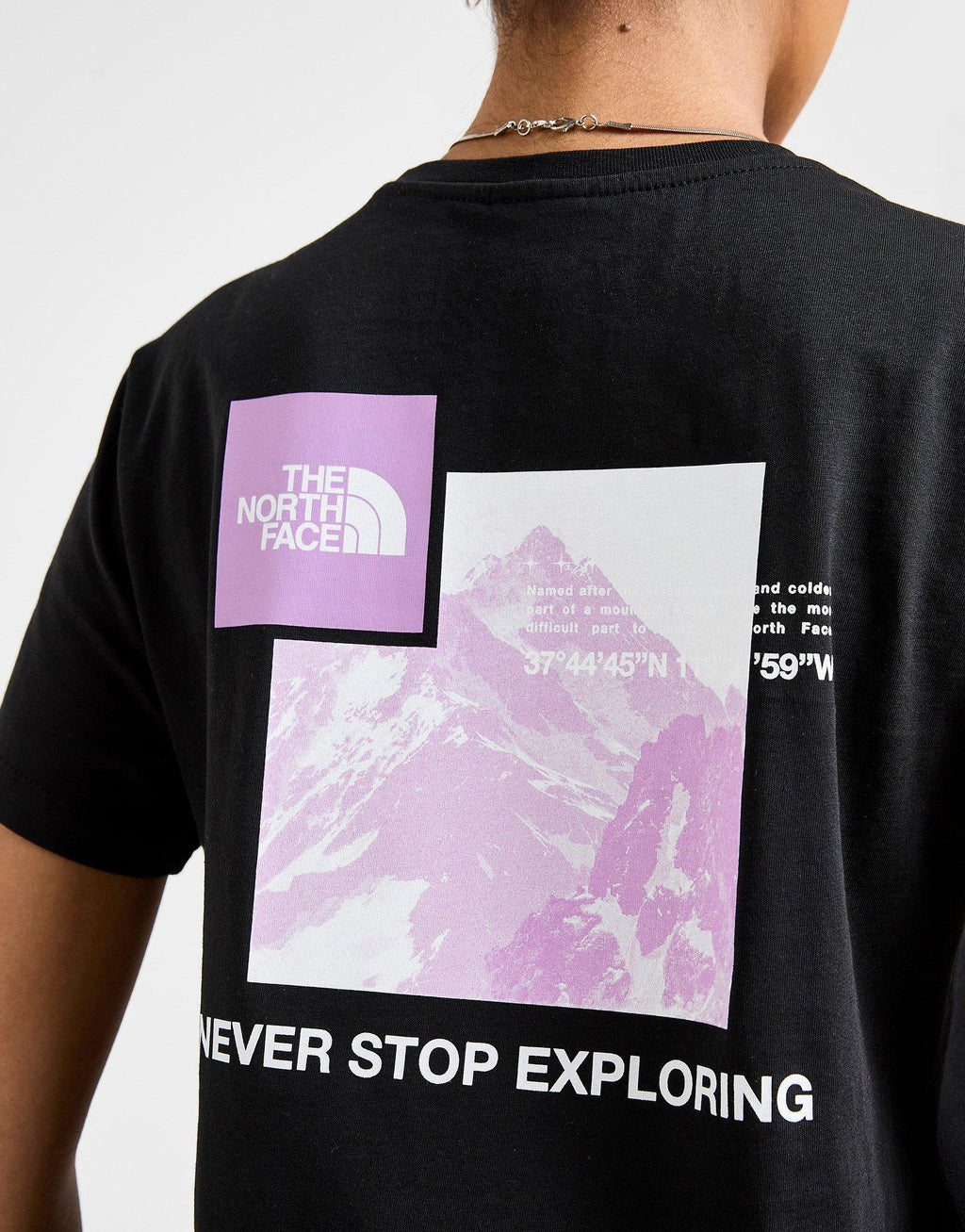 The North Face Mountain Box Graphic T-Shirt image