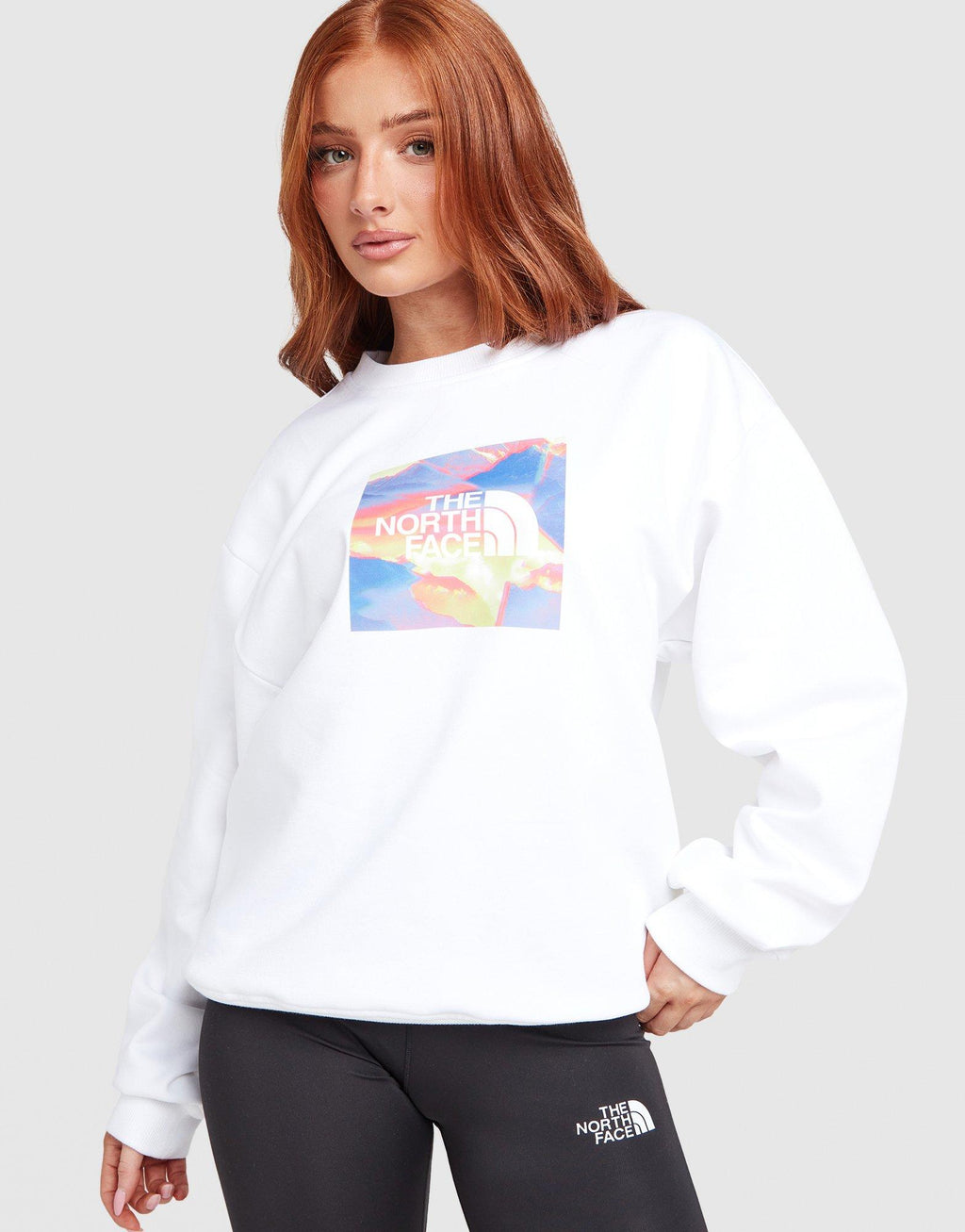 The North Face Mountain Prism Crew Sweatshirt image