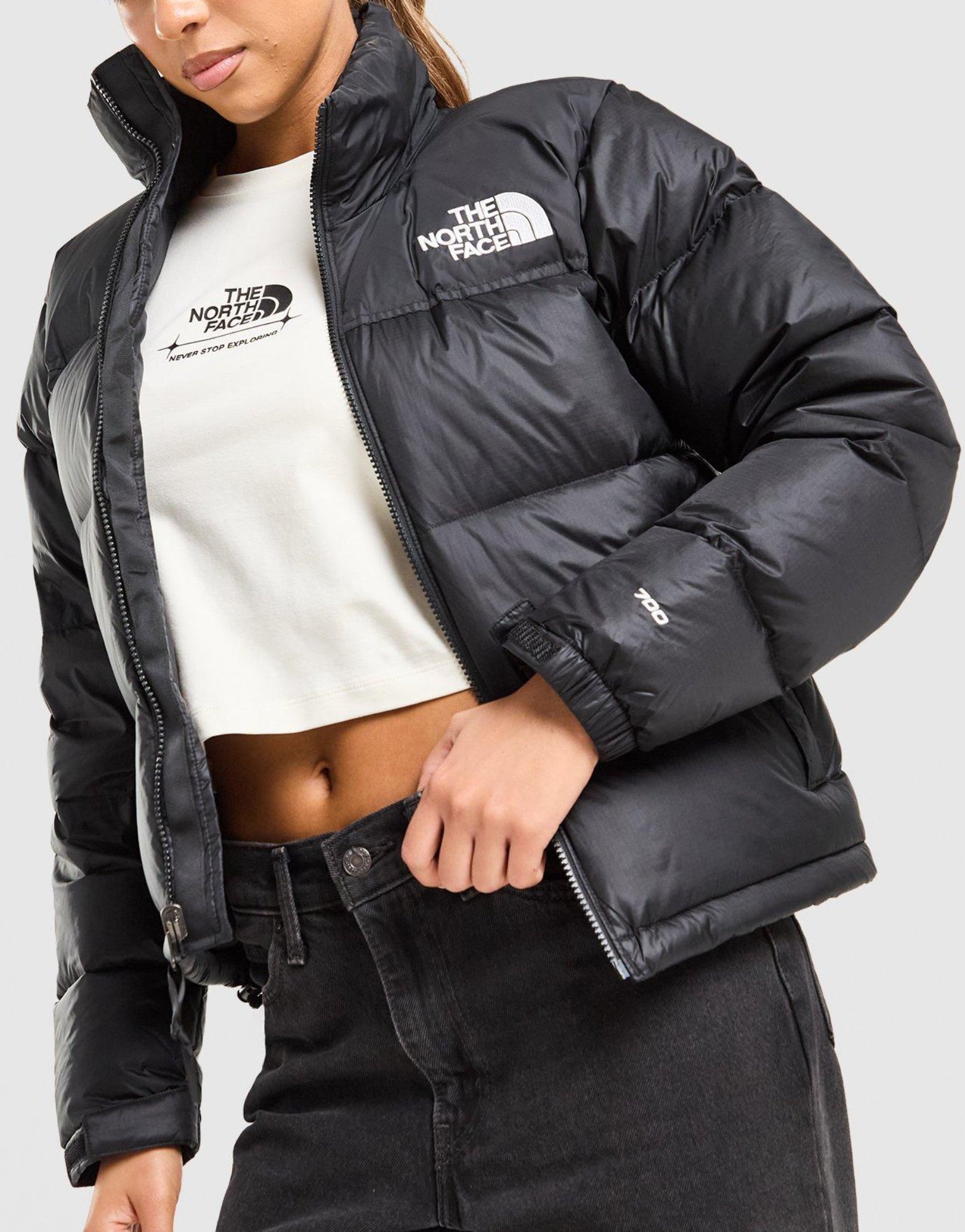 The North Face Nuptse 1996 Puffer Jacket image