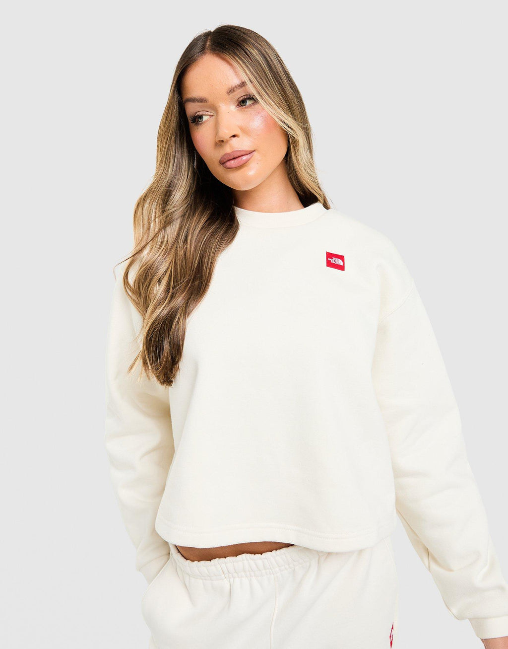 The North Face Red Box Crew Sweatshirt image