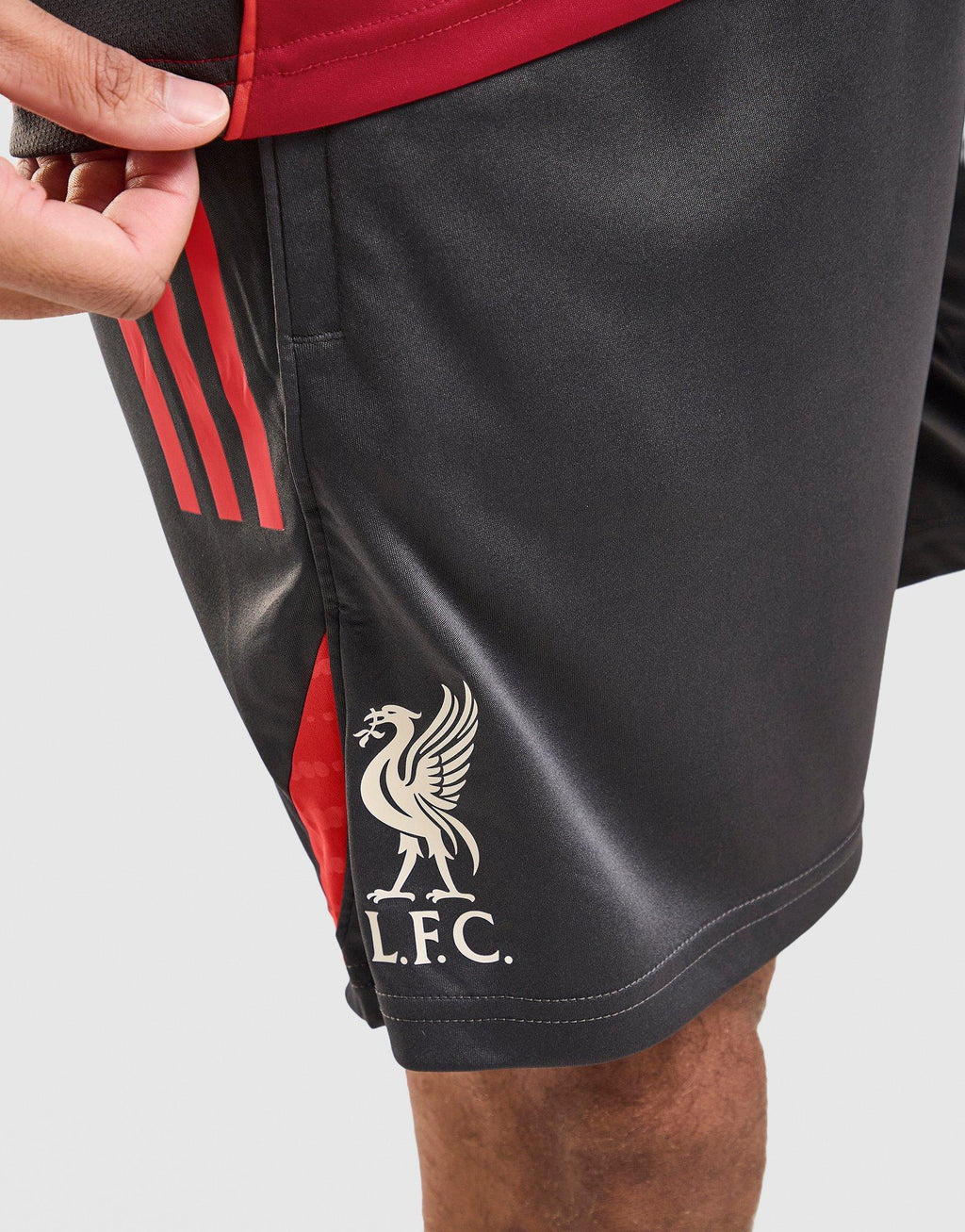 adidas Liverpool FC Tiro 25 Training Shorts image
