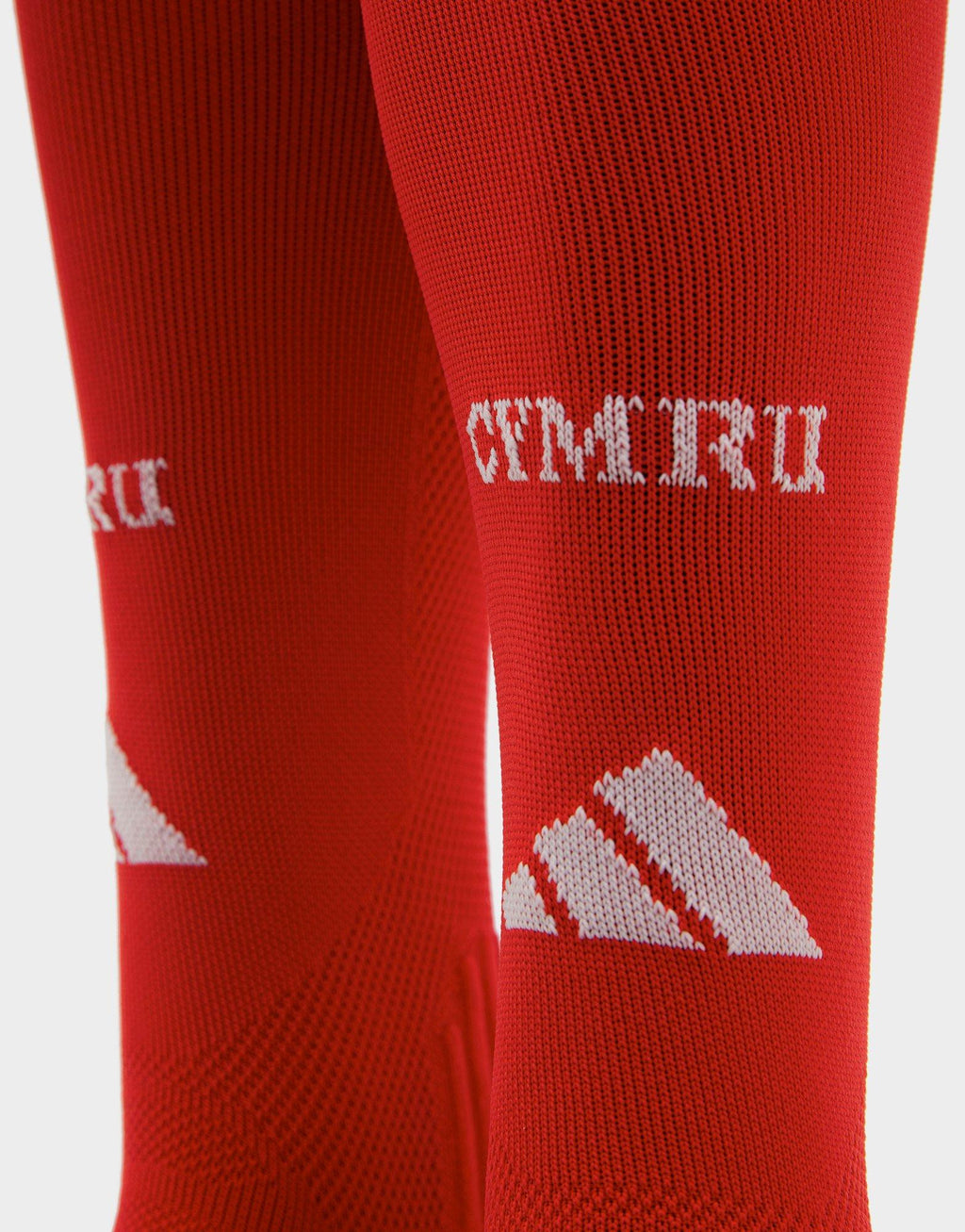 adidas Wales 2026 Home Socks image