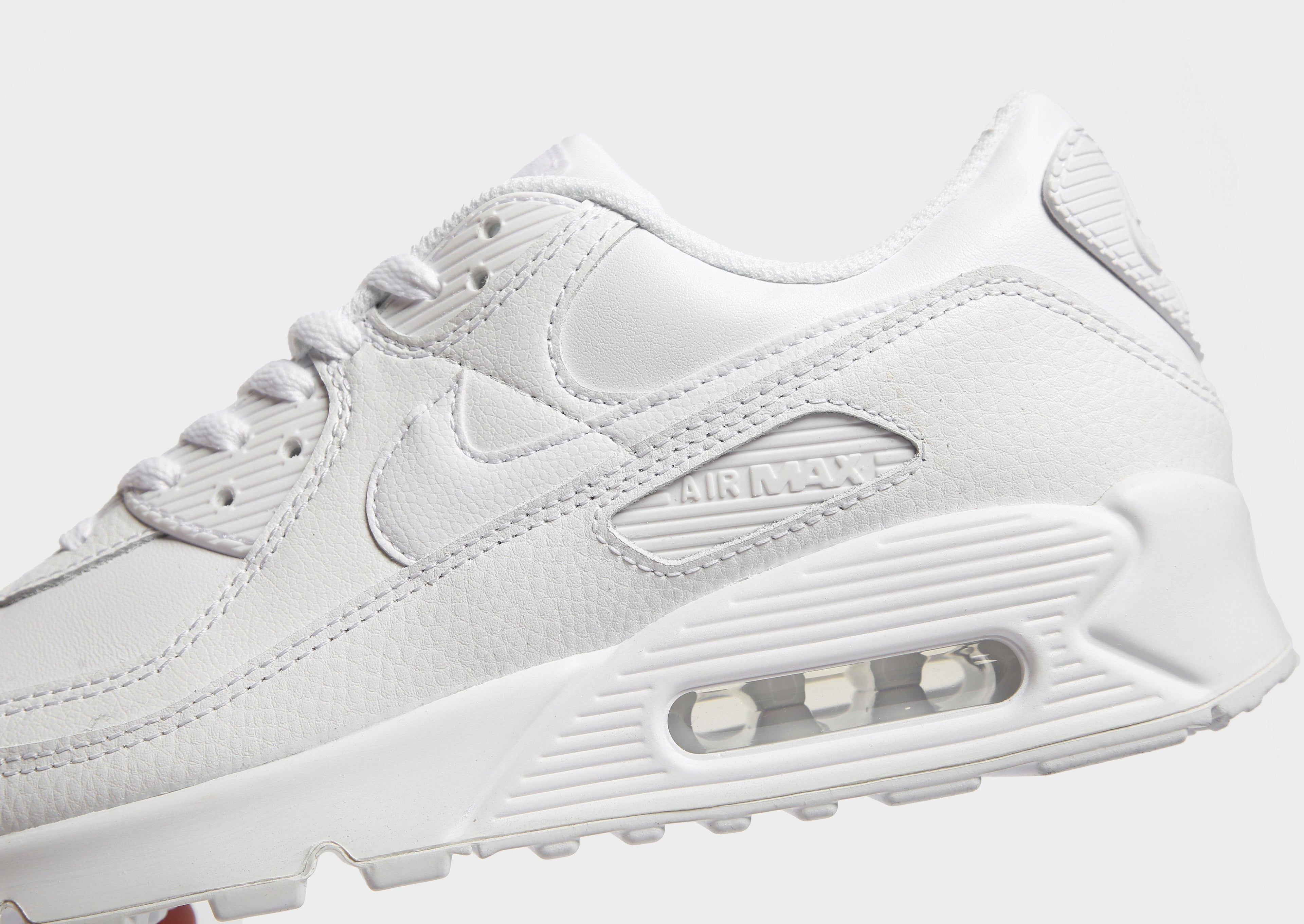 Nike Air Max 90 image